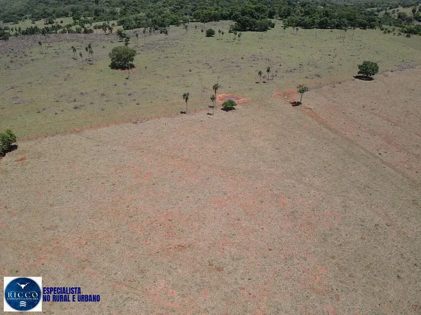 Foto 5 de Fazenda / Haras com 2 quartos à venda, 64m2 em Sanclerlandia - GO
