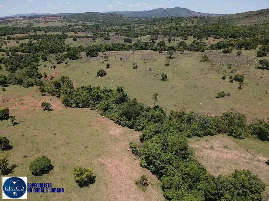 Foto 8 de Fazenda / Haras com 2 quartos à venda, 64m2 em Sanclerlandia - GO