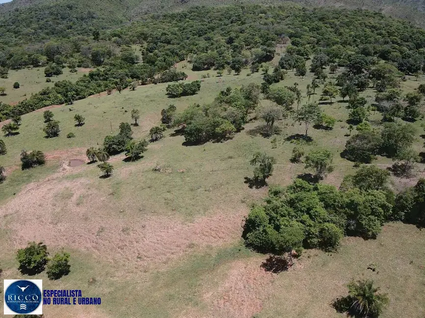 Foto 6 de Fazenda / Haras com 2 quartos à venda, 64m2 em Sanclerlandia - GO