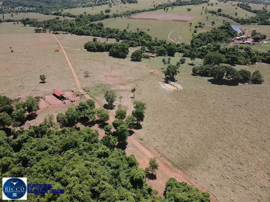 Foto 1 de Fazenda / Haras com 2 quartos à venda, 64m2 em Sanclerlandia - GO