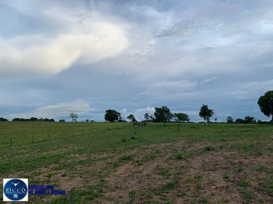 Foto 7 de Fazenda / Haras com 3 quartos à venda, 79m2 em Piranhas - GO