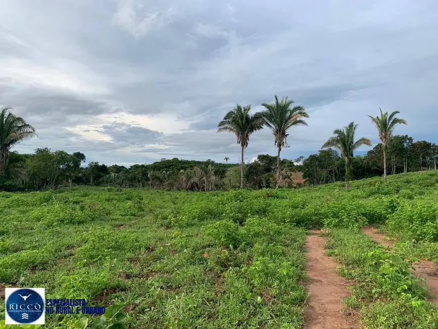 Foto 2 de Fazenda / Haras com 3 quartos à venda, 79m2 em Piranhas - GO