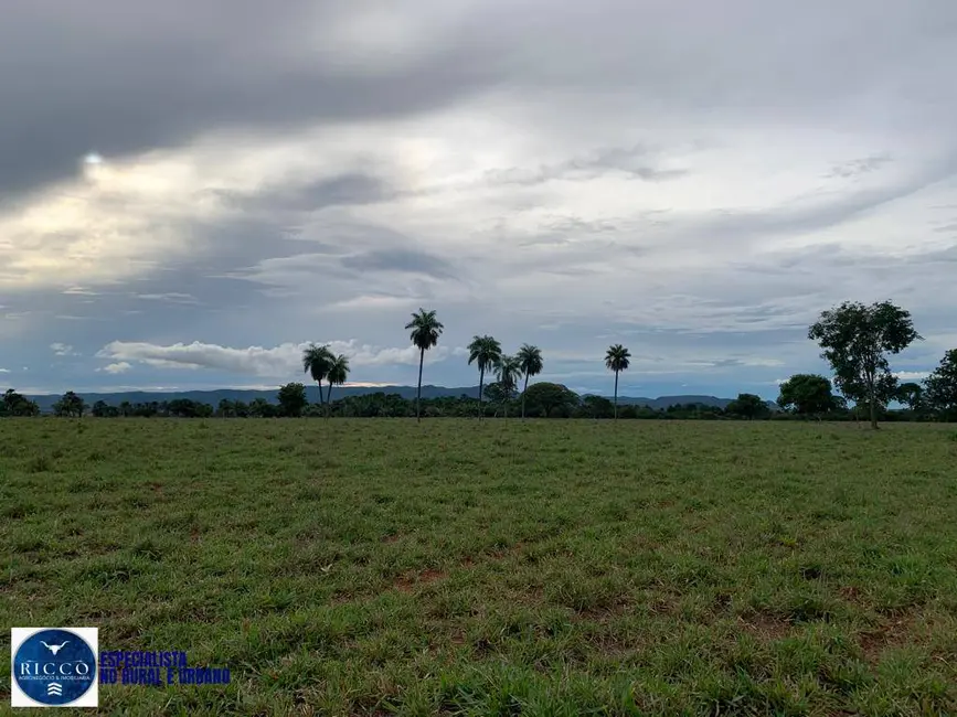 Foto 6 de Fazenda / Haras com 3 quartos à venda, 79m2 em Piranhas - GO