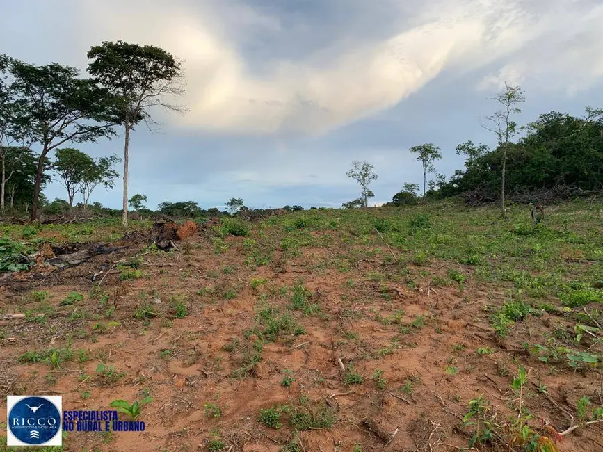 Foto 5 de Fazenda / Haras com 3 quartos à venda, 79m2 em Piranhas - GO