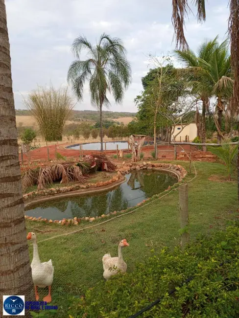 Foto 1 de Chácara com 3 quartos à venda, 24200m2 em Terezopolis De Goias - GO