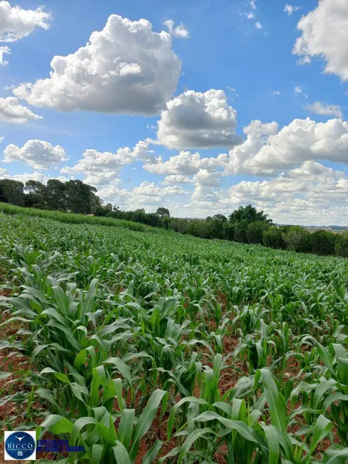 Foto 3 de Chácara com 3 quartos à venda, 24200m2 em Terezopolis De Goias - GO