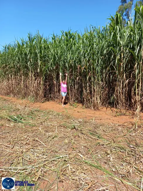 Foto 6 de Chácara com 3 quartos à venda, 24200m2 em Terezopolis De Goias - GO