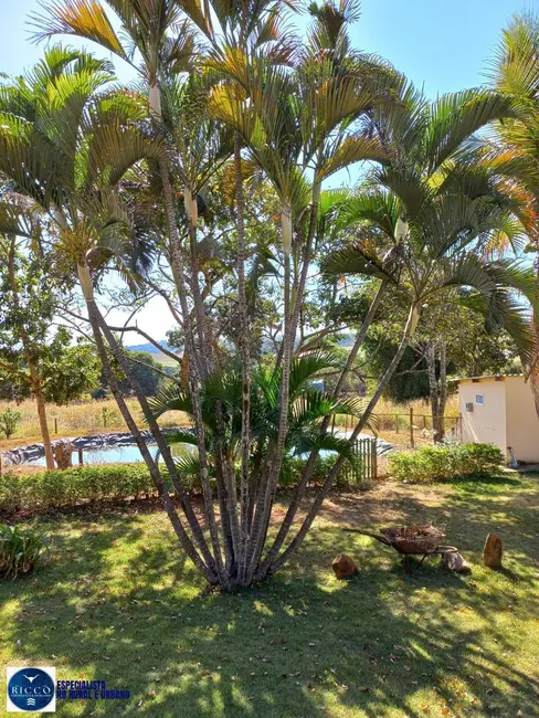 Foto 8 de Chácara com 3 quartos à venda, 24200m2 em Terezopolis De Goias - GO