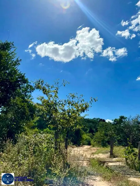 Foto 2 de Fazenda / Haras com 3 quartos à venda, 90m2 em Jaragua - GO