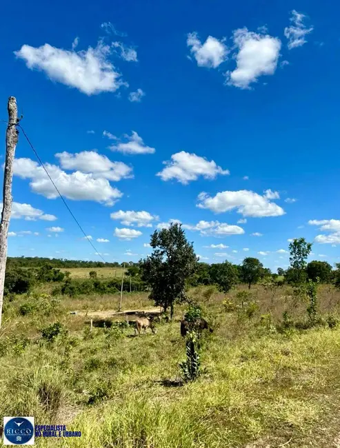 Foto 4 de Fazenda / Haras com 3 quartos à venda, 90m2 em Jaragua - GO