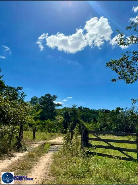 Foto 1 de Fazenda / Haras com 3 quartos à venda, 90m2 em Jaragua - GO