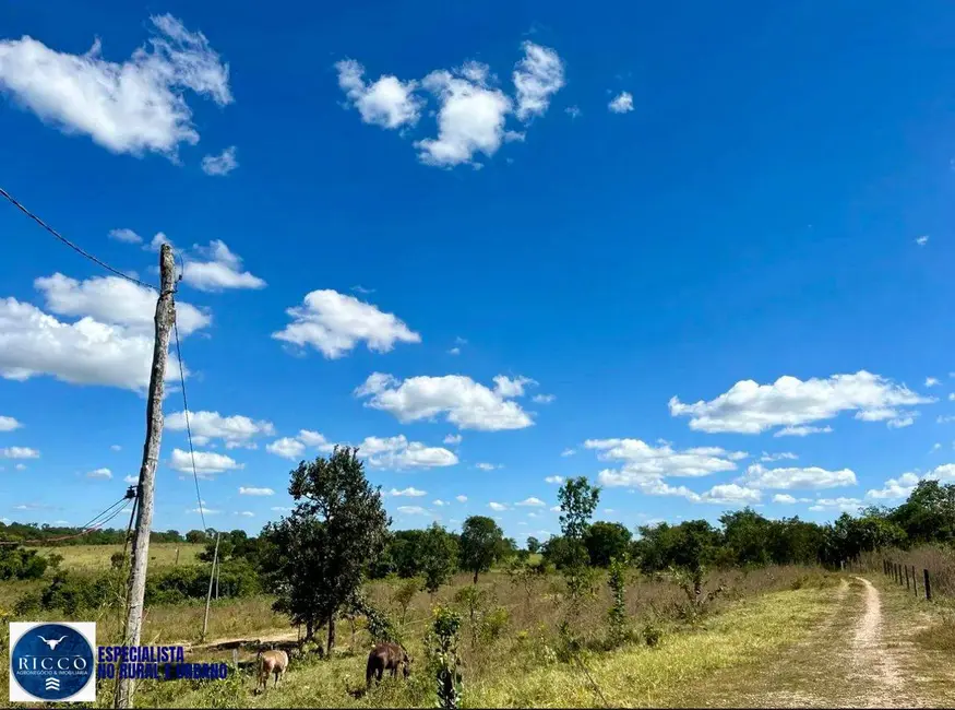 Foto 3 de Fazenda / Haras com 3 quartos à venda, 90m2 em Jaragua - GO