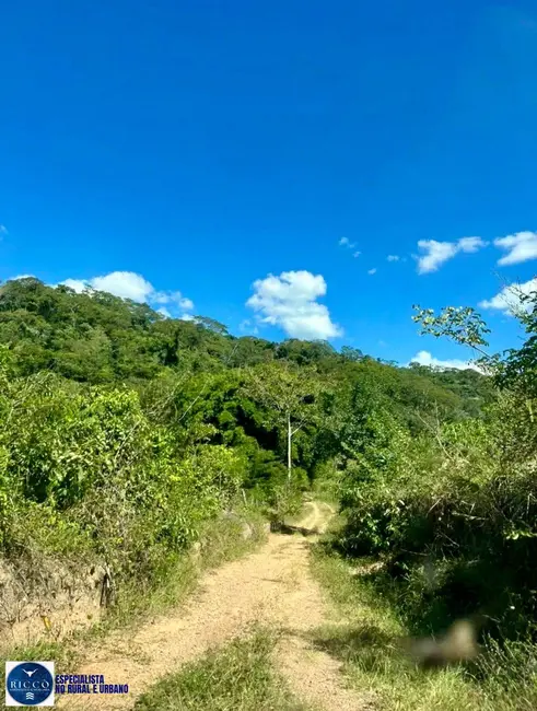 Foto 5 de Fazenda / Haras com 3 quartos à venda, 90m2 em Jaragua - GO