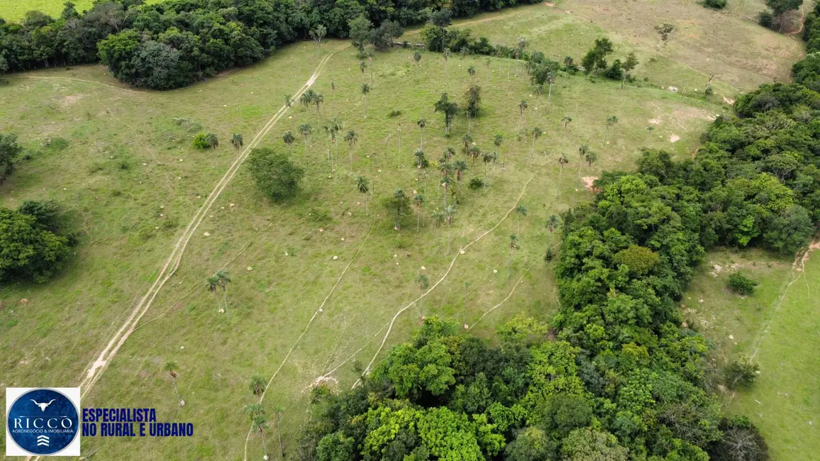 Foto 5 de Fazenda / Haras com 4 quartos à venda, 54m2 em Itapuranga - GO
