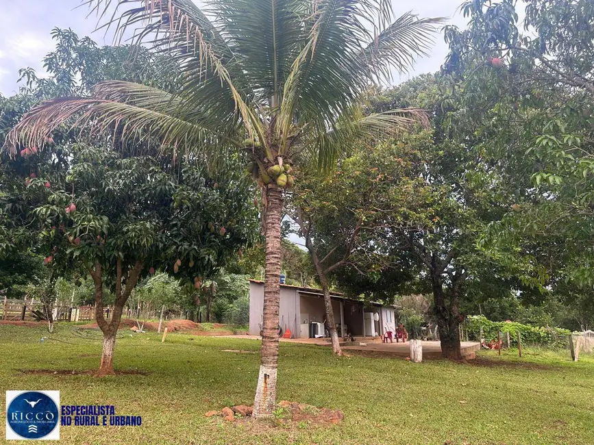 Foto 7 de Chácara com 3 quartos à venda em Bela Vista De Goias - GO