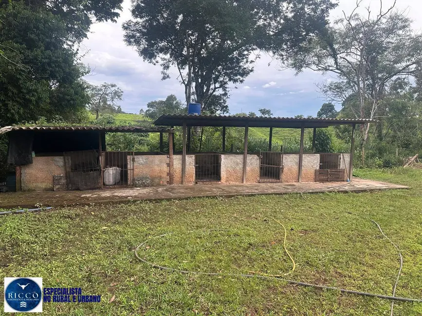 Foto 3 de Chácara com 3 quartos à venda em Bela Vista De Goias - GO