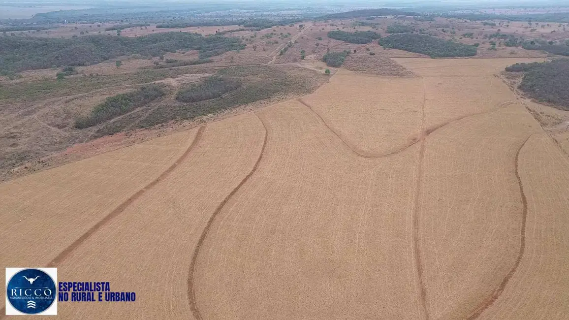 Foto 8 de Fazenda / Haras com 3 quartos à venda, 70m2 em Montes Claros De Goias - GO