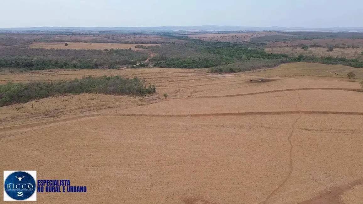 Foto 2 de Fazenda / Haras com 3 quartos à venda, 70m2 em Montes Claros De Goias - GO