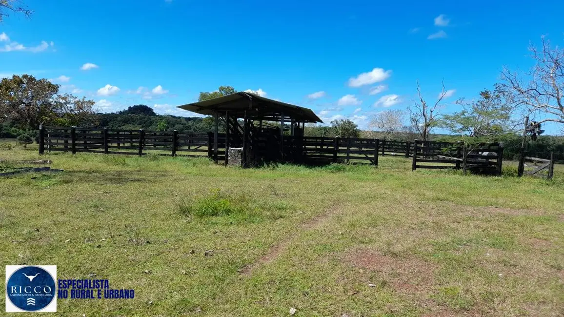 Foto 3 de Fazenda / Haras com 3 quartos à venda, 450m2 em Recursolandia - TO