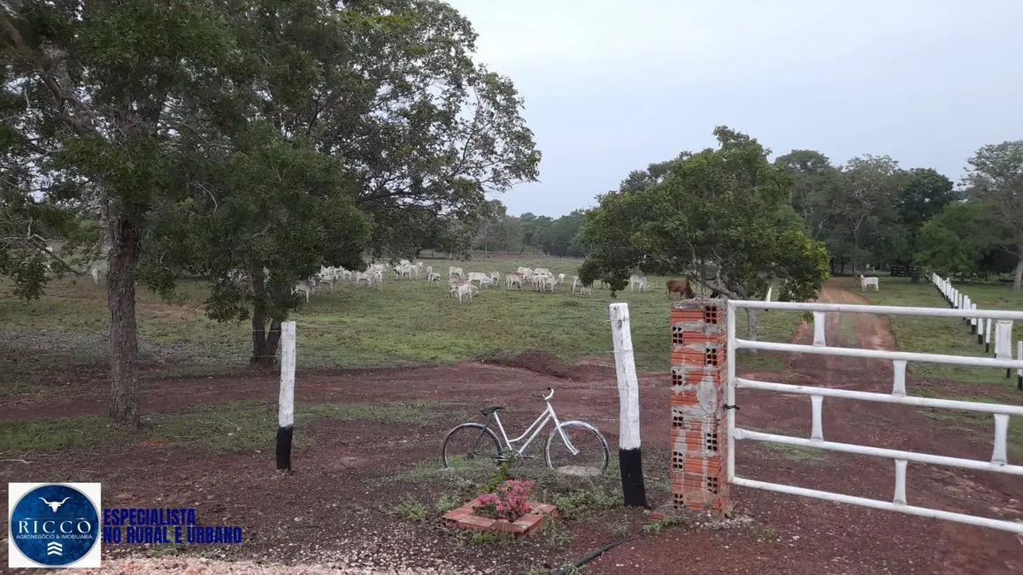 Foto 8 de Fazenda / Haras com 3 quartos à venda, 450m2 em Recursolandia - TO