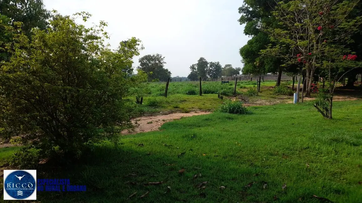Foto 6 de Fazenda / Haras com 3 quartos à venda, 450m2 em Recursolandia - TO