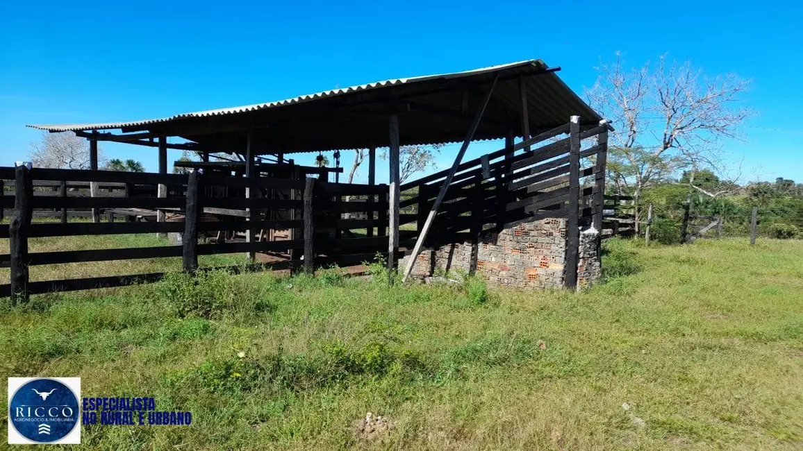 Foto 4 de Fazenda / Haras com 3 quartos à venda, 450m2 em Recursolandia - TO