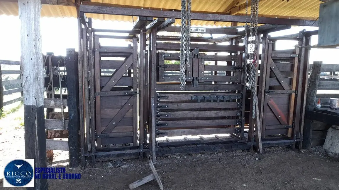 Foto 2 de Fazenda / Haras com 3 quartos à venda, 450m2 em Recursolandia - TO