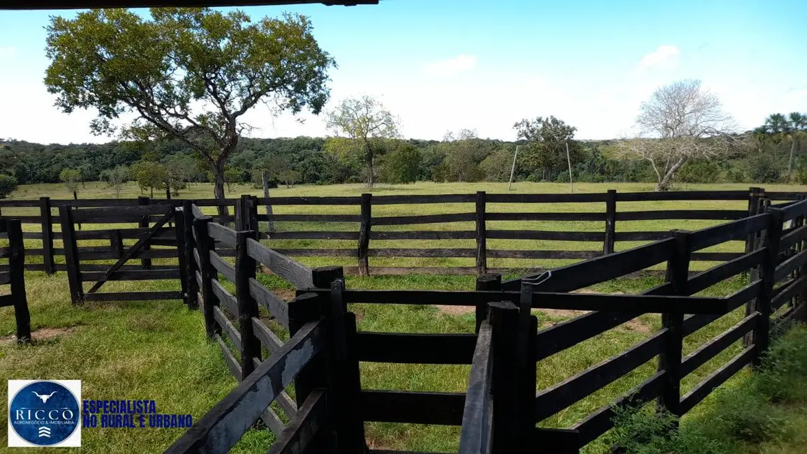 Foto 9 de Fazenda / Haras com 3 quartos à venda, 450m2 em Recursolandia - TO