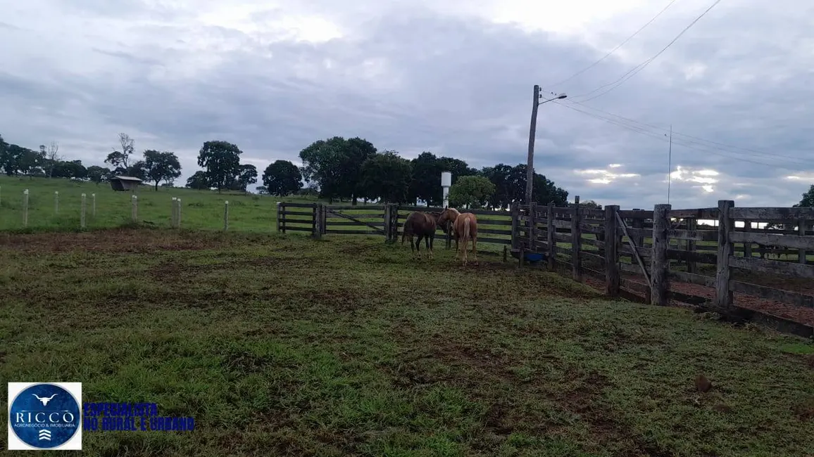 Foto 9 de Fazenda / Haras com 2 quartos à venda, 56m2 em Diorama - GO