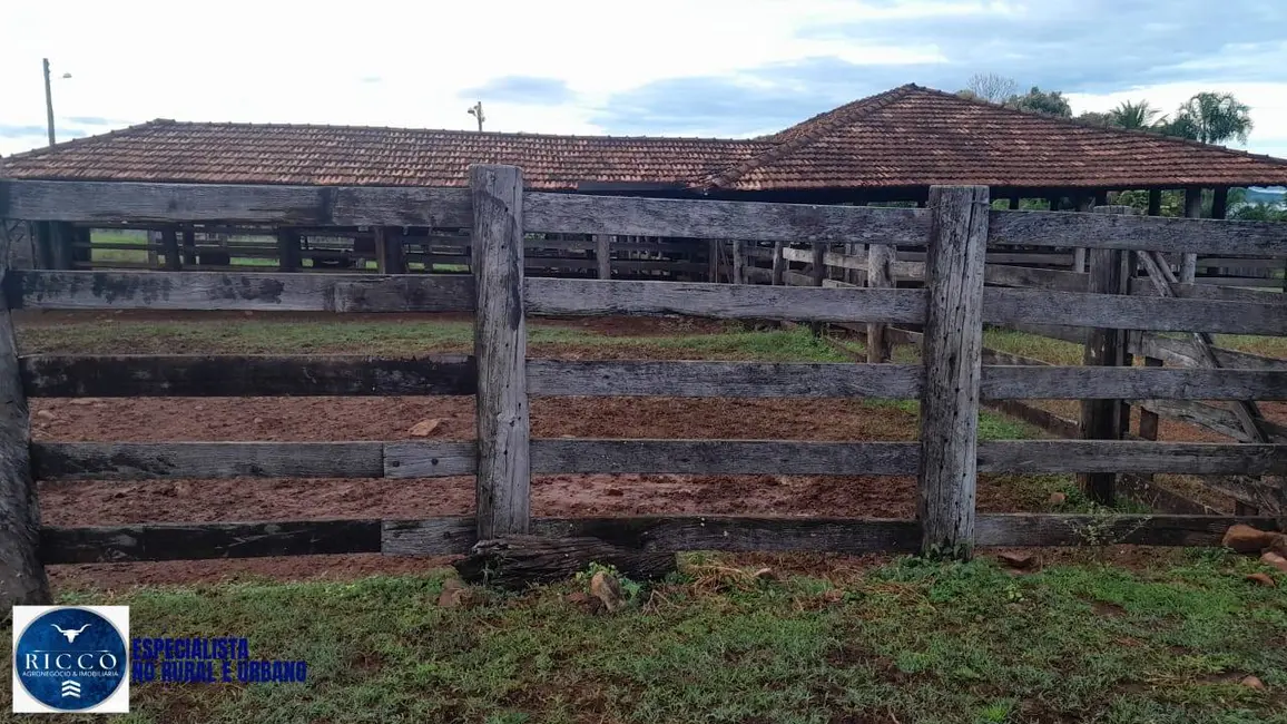 Foto 7 de Fazenda / Haras com 2 quartos à venda, 56m2 em Diorama - GO