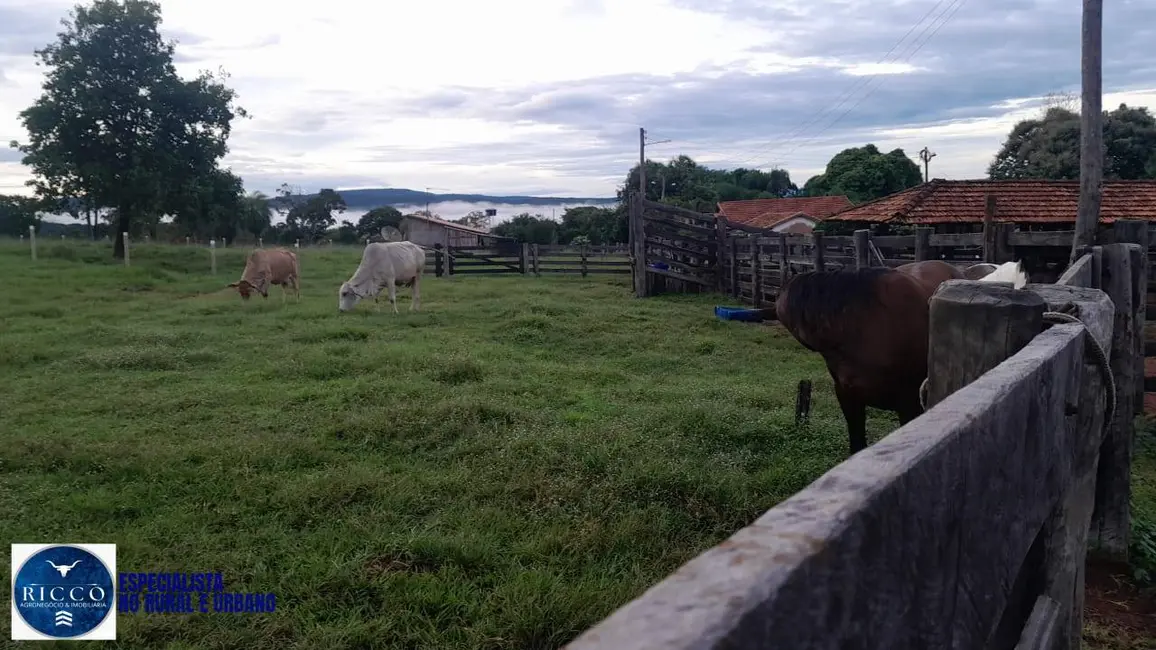 Foto 4 de Fazenda / Haras com 2 quartos à venda, 56m2 em Diorama - GO