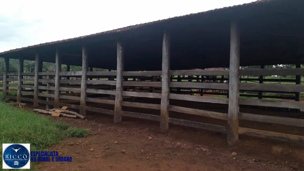 Foto 6 de Fazenda / Haras com 2 quartos à venda, 56m2 em Diorama - GO
