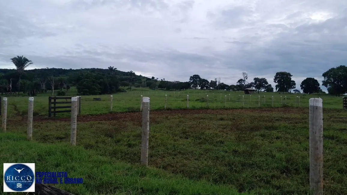 Foto 5 de Fazenda / Haras com 2 quartos à venda, 56m2 em Diorama - GO