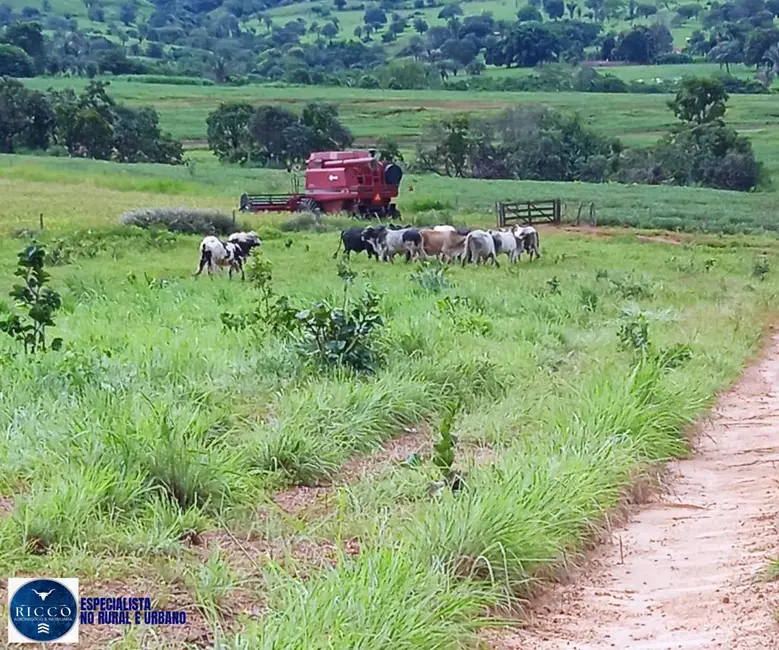 Foto 1 de Fazenda / Haras com 2 quartos à venda, 56m2 em Diorama - GO