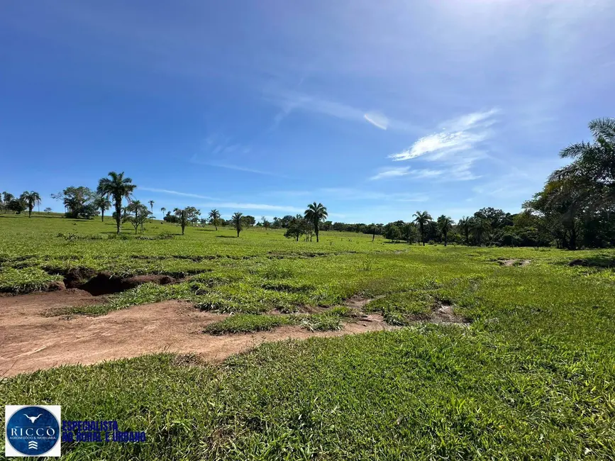 Foto 6 de Chácara com 4 quartos à venda, 8m2 em Sao Luis De Montes Belos - GO