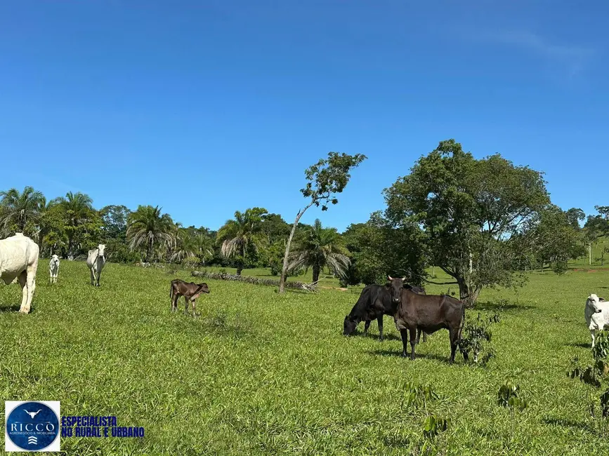 Foto 2 de Chácara com 4 quartos à venda, 8m2 em Sao Luis De Montes Belos - GO