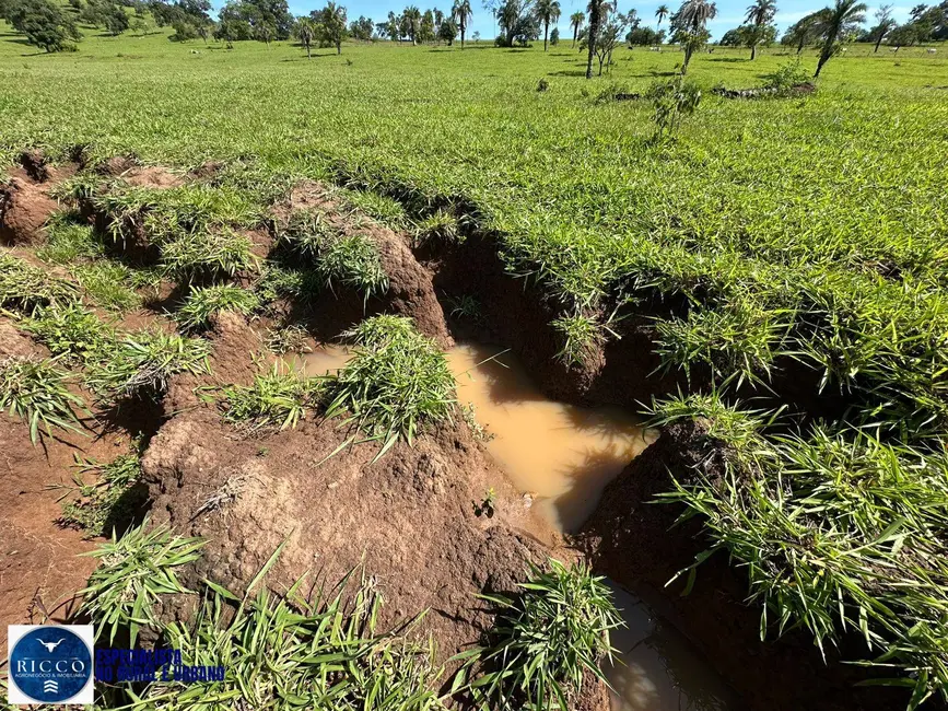 Foto 9 de Chácara com 4 quartos à venda, 8m2 em Sao Luis De Montes Belos - GO