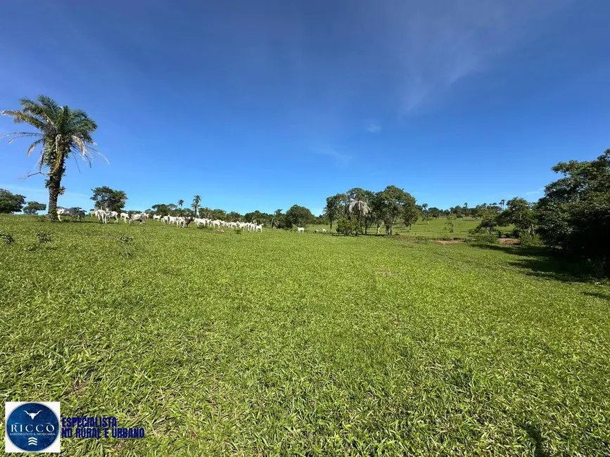 Foto 3 de Chácara com 4 quartos à venda, 8m2 em Sao Luis De Montes Belos - GO