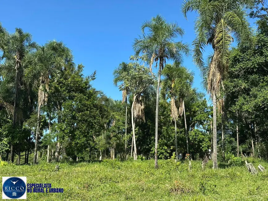 Foto 8 de Chácara com 4 quartos à venda, 8m2 em Sao Luis De Montes Belos - GO