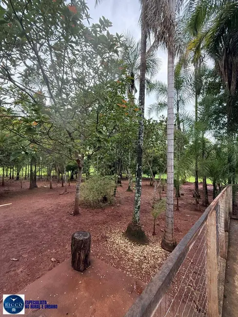 Foto 8 de Chácara com 3 quartos à venda em Anicuns - GO