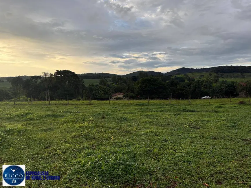Foto 9 de Chácara com 3 quartos à venda em Anicuns - GO