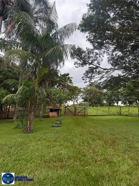 Foto 4 de Chácara com 3 quartos à venda em Anicuns - GO