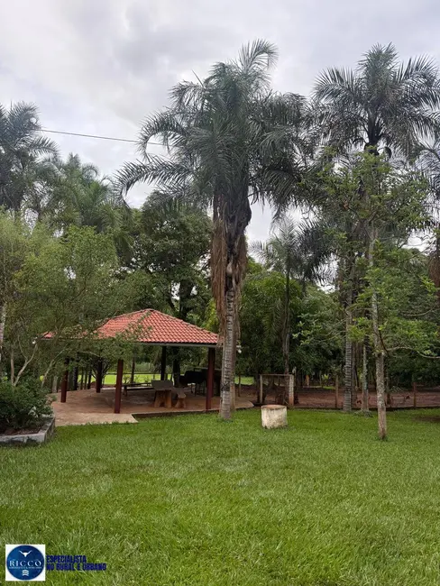 Foto 1 de Chácara com 3 quartos à venda em Anicuns - GO