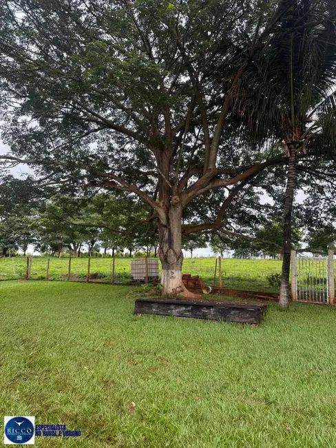 Foto 5 de Chácara com 3 quartos à venda em Anicuns - GO