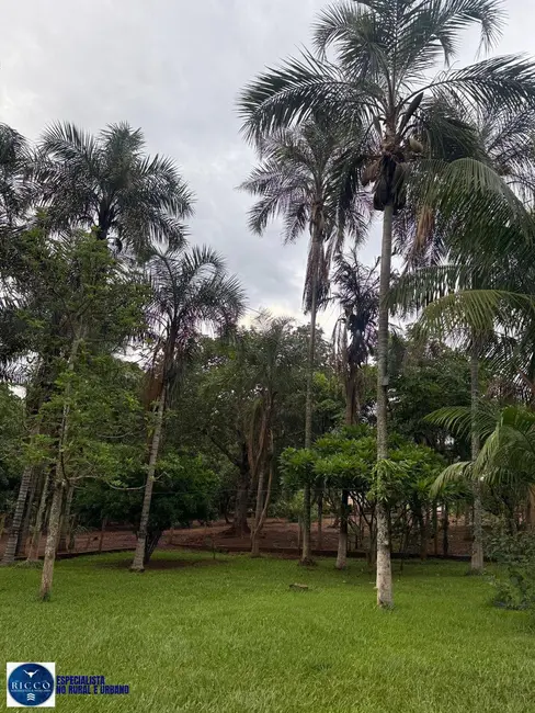 Foto 3 de Chácara com 3 quartos à venda em Anicuns - GO