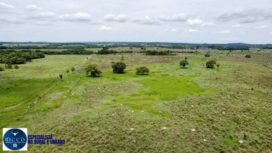 Foto 8 de Fazenda / Haras com 4 quartos à venda, 450m2 em Crixas - GO