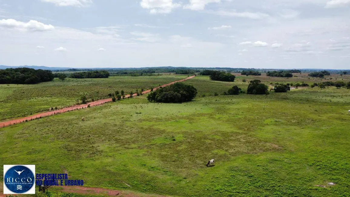 Foto 3 de Fazenda / Haras com 4 quartos à venda, 450m2 em Crixas - GO
