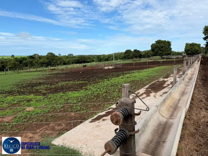 Fazenda / Haras com 3 quartos à venda, 102m2 em Piranhas - GO - imagem 4 Foto 4 de Fazenda / Haras com 3 quartos à venda, 102m2 em Piranhas - GO