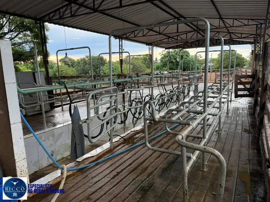 Fazenda / Haras com 3 quartos à venda, 102m2 em Piranhas - GO - imagem 6 Foto 6 de Fazenda / Haras com 3 quartos à venda, 102m2 em Piranhas - GO