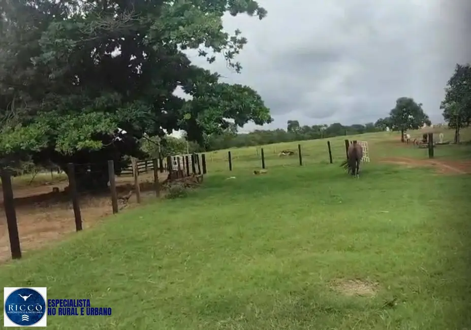 Foto 1 de Fazenda / Haras com 4 quartos à venda, 82m2 em Santa Fe De Goias - GO